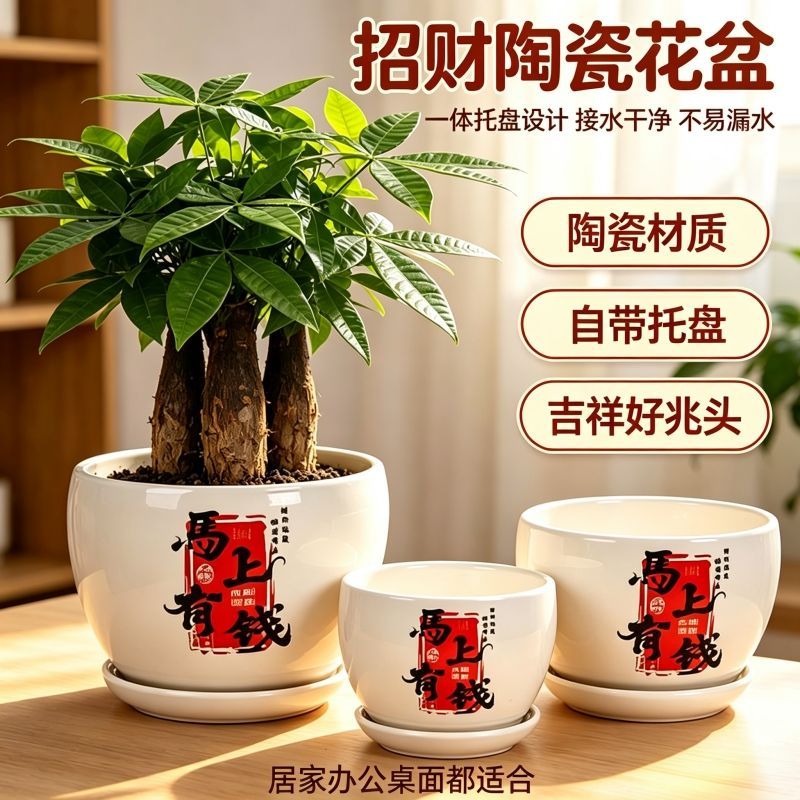 招财陶瓷花盆特价清仓特大号