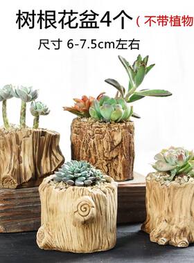 特价仿木头花盆陶瓷创意个性复古款大小树根粗陶透气多肉花盆清仓