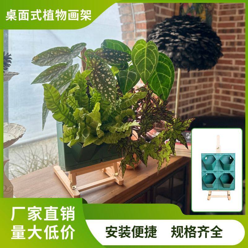 画架式花架桌面二孔画架植物花架组合叠加花盆种菜种花绿植多肉多