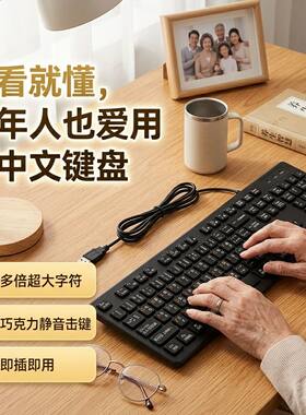 儿童打字练习键盘全中文注释键盘新手入门翻译有线键盘神器儿童老