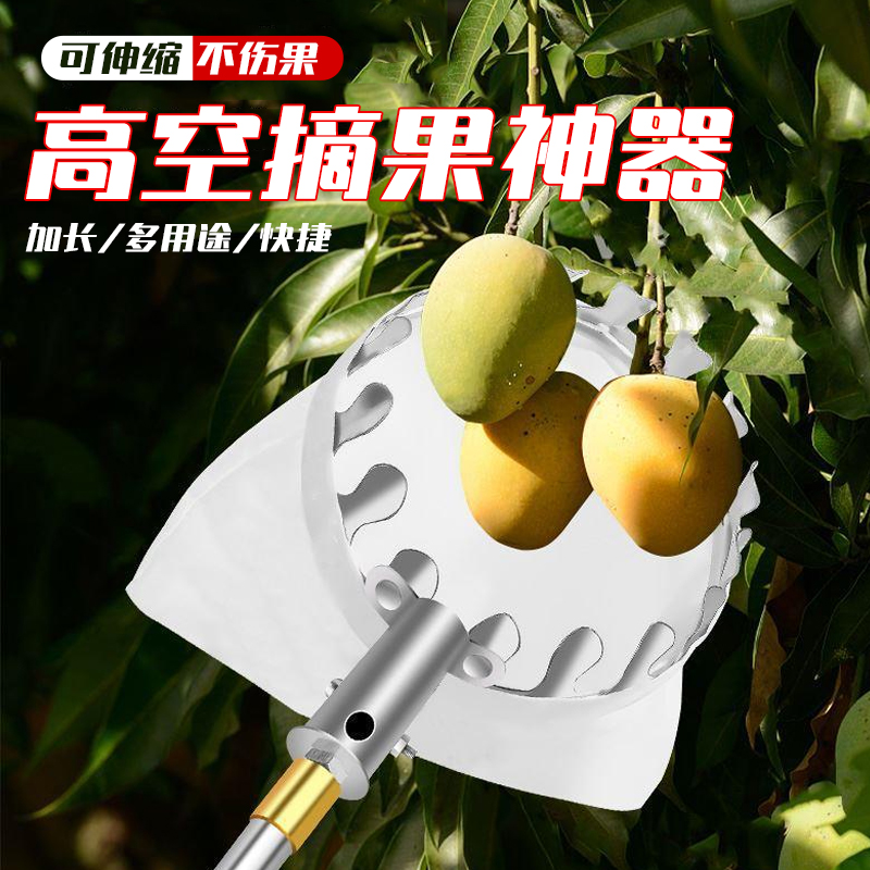 【十年老店】高空摘果期