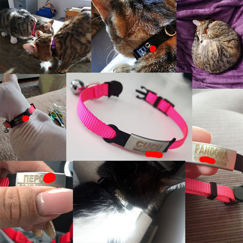 Nylon Collar Custom Personalized ID Free Engraving Cat Smal
