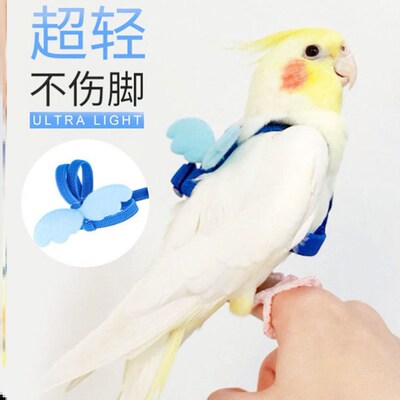 鹦鹉放飞防咬外出遛鸟绳八哥乌鸦玄凤虎皮牡丹训练飞行脚链脚环！
