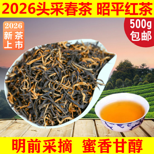 2026年新茶头采春茶正宗广西昭平红茶500克自饮送礼工夫散装茶叶