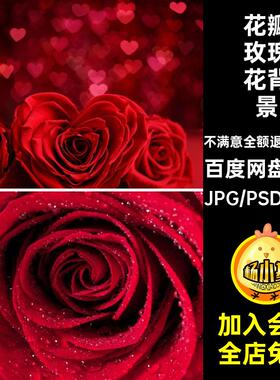 TP-33粉高清图片花瓣红色玫瑰七夕情人节背景海报JPG520设计素材