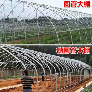 养殖大棚全套养鸡鸭鹅猪牛羊大棚配件用品种植温室大棚钢管骨架