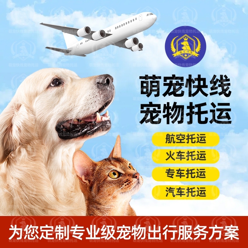 宠物托运广州深圳上海北京等城市到全国空调专线优惠宠物运输服务