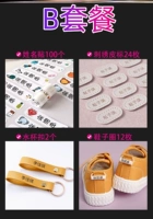 ПРЕДПРЕМЕНТАЯ ПАКЕТА B (включая 24 метки кожи) 24+12+100+2