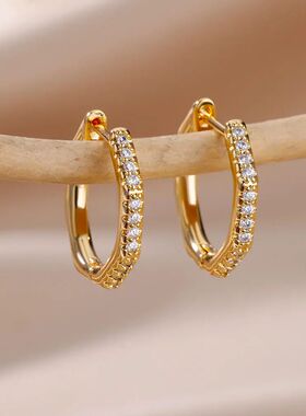 Zirconia Polygon Earrings for Women Stainless Steel Hoop