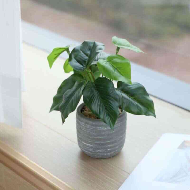 ins风桌面绿植小盆栽仿真植物迷你假花高级感逼真办公桌家居摆件图片