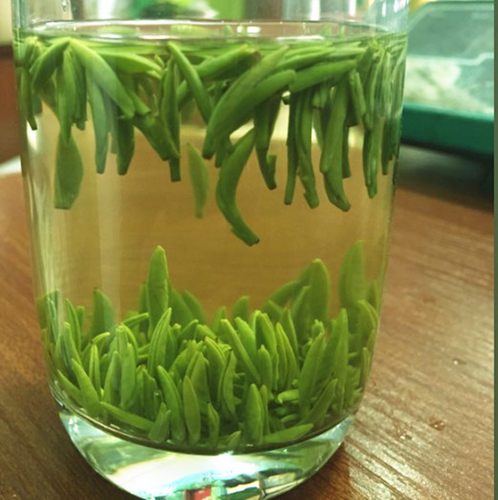 新茶上市四川马边峨眉高山绿茶