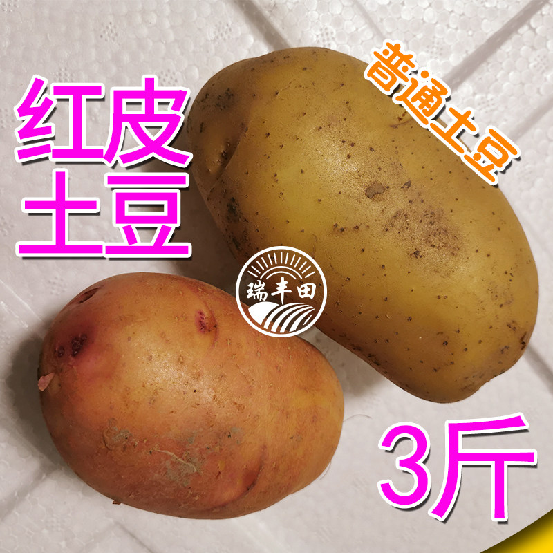 崇明本地红皮土豆黄心新鲜当季蔬菜根茎类江浙沪包邮到家
