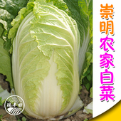 崇明本地大白菜新鲜蔬菜黄芽菜4斤江浙沪顺丰满35元 包邮 两份送2斤