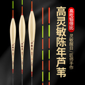 高灵敏陈年芦苇浮漂抗流水野钓醒目加粗鱼漂轻口鲫鲤罗非混养漂