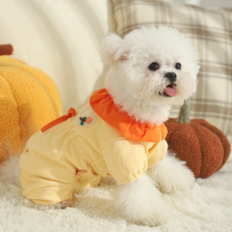 快速发货狗狗衣服春秋款防掉毛宠物小狗小型犬泰迪比熊.秋季护肚,宠物/宠物食品及用品,狗宠物服装/雨衣,淘宝优惠券,粉丝福利购,淘宝优惠卷