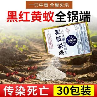 蚂蚁药室外用菜地一窝端家用室内非灭红火蚁白蚁药专用药
