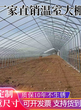温室大棚蔬菜种植暖棚钢