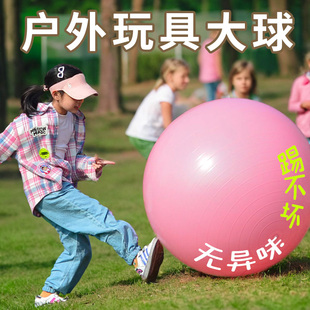 儿童户外玩具充气大球宝宝公园室外露营亲子互动游戏道具运动玩具