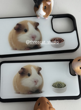 韩ins童趣可爱萌古早豚鼠欧尼博主同款手机壳适用于iphone17promax/16pro苹果15/14/13/12黑边11保护套Xsmax