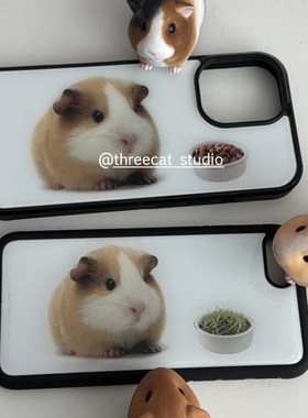 可爱萌古早豚鼠17pro手机壳