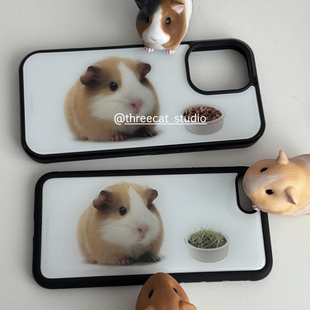韩ins童趣可爱萌古早豚鼠欧尼博主同款 16pro苹果15 12黑边11保护套Xsmax 手机壳适用于iphone17promax