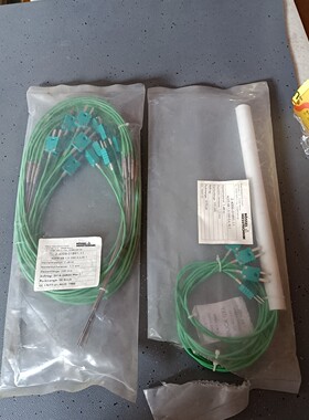 ROSSEL进口热电偶,2-4006-01891-11,探头