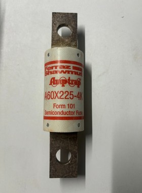 A60X225-4K全新法国罗兰原装进口保险丝16×4cm