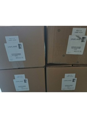 401111-21 美国原产 FORNEY 火检传感器 全新