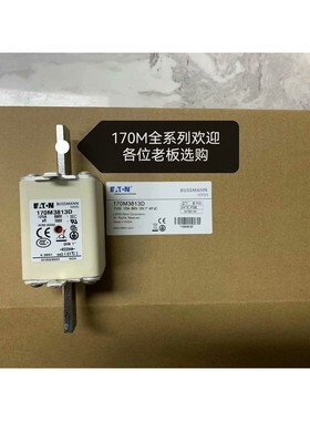 BUSSMANN熔断器 170M3813D 690V 125
