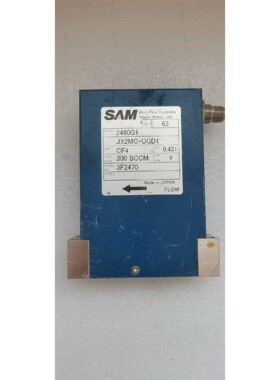 原装SAM FANTAS  2480G1 质量流量计