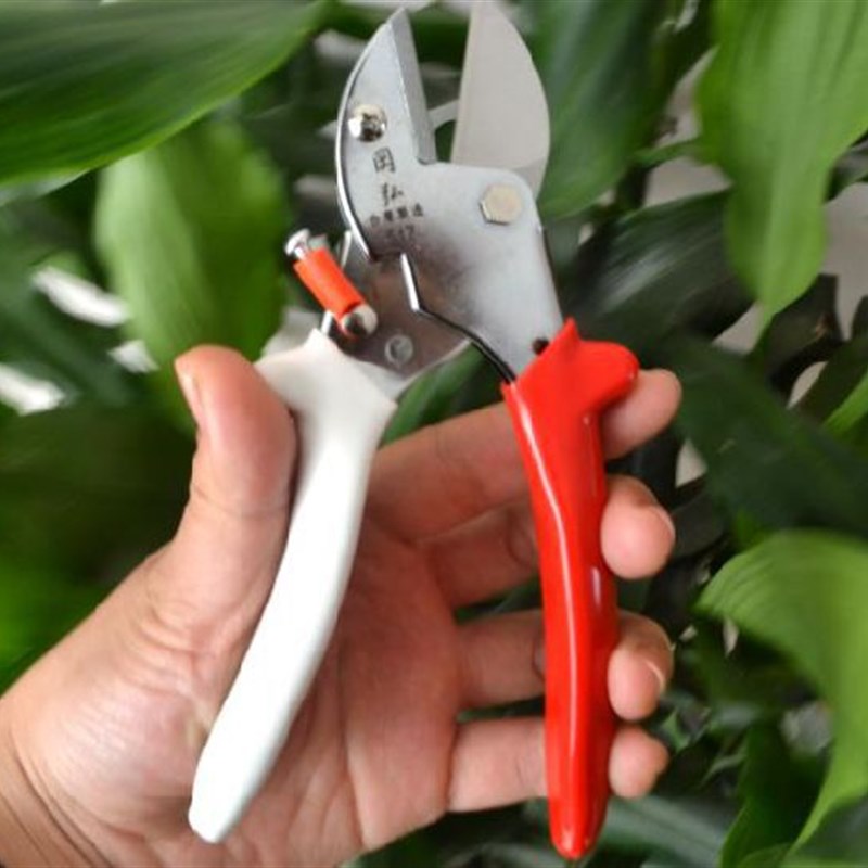 台湾冈弘岡弘V517省力剪强力枝剪冈弘修枝剪园艺剪粗枝剪花