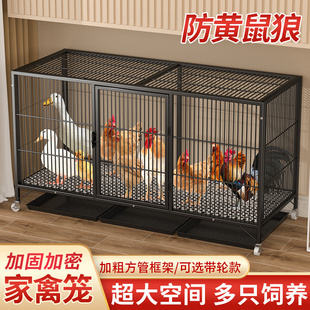 鸡笼子家用大号加密雏鸡笼大鸡笼防黄鼠狼养鸡专用笼鸽子笼鸭笼