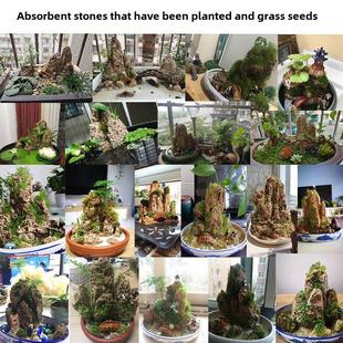 吸水石假山盆景装 饰景观水石假山盆景原石奇石观赏石微观景观