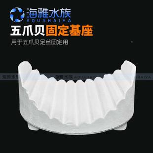 海雅水族海水鱼海水五爪贝断枝座纽扣基座珊瑚底座断肢支架陶瓷座