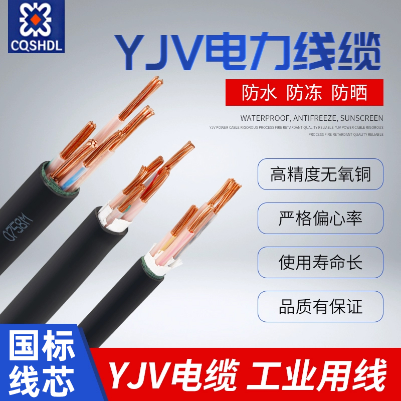 胜华智能电缆线国标纯铜足米