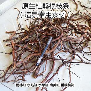 杜鹃根枝条根须沉木沉木骨架水草缸景观素材原料成品紫柚木栖根跟