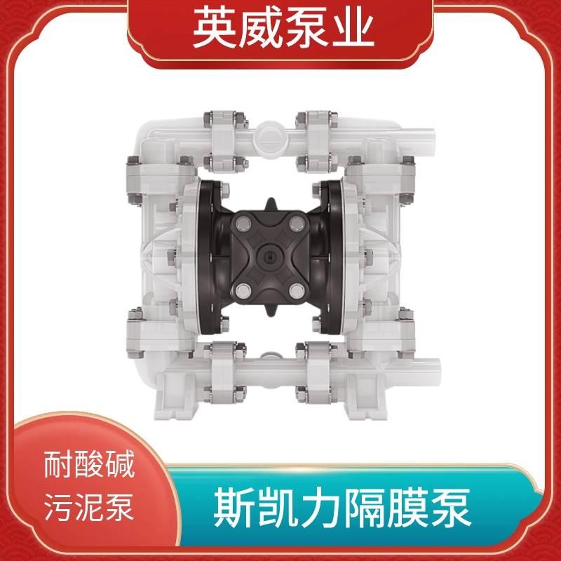 skylink斯凯力气动隔膜泵PS15 PP-PP-SP-PP-SP-00塑料水泵LS25 AA