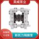 00塑料水泵LS25 skylink斯凯力气动隔膜泵PS15