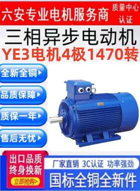 11kw15千瓦18ye22极30电机380V三相37防爆45 55 75变频90 110 132
