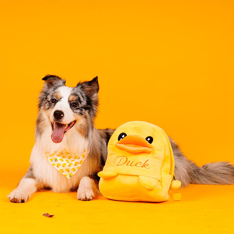 Dogs knapsack pet go out knapsack Golden Retriever Edge of husbandry Satsuma Big Dog schoolbag Large dogs Backpackin the Pet/Pet food and supplies , Pet apparel and accessories , Pet backpack  category - from Buy2taobao.com to provide professional Taobao agent buy service
