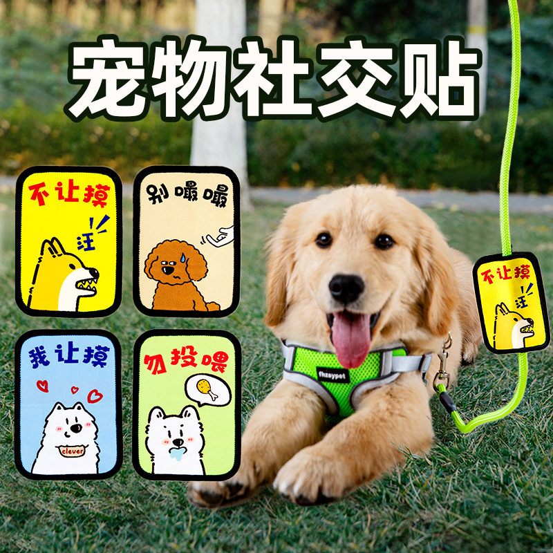 宠宠出行社交标识牌出行更便捷