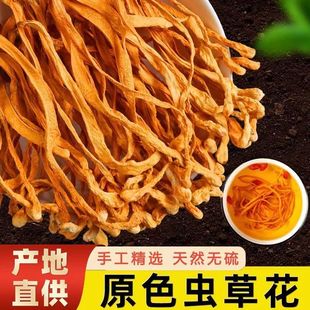 正品 虫草花特级干货菜类正宗虫草孢子头30g煲汤食材无干燥剂