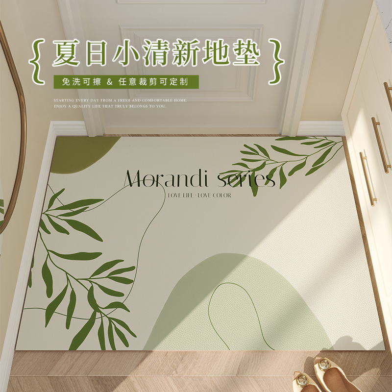 入户门地垫pvc可擦免洗