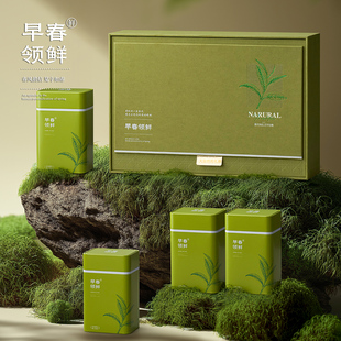 半斤一斤装茶叶罐铁罐礼盒通用碧螺春信阳毛尖茶叶包装盒春茶礼盒