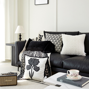 沙发抱枕靠背垫轻奢高级感客厅靠垫大靠背高端卧室床头腰靠枕毛毯