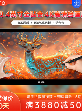 BOSTO BT-19UHDT(4K)数位屏手绘屏电脑绘图绘画手写屏液晶数位板