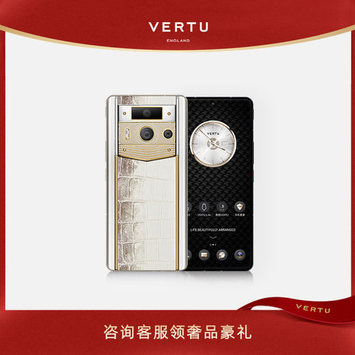 高奢定制 AI手机双模型