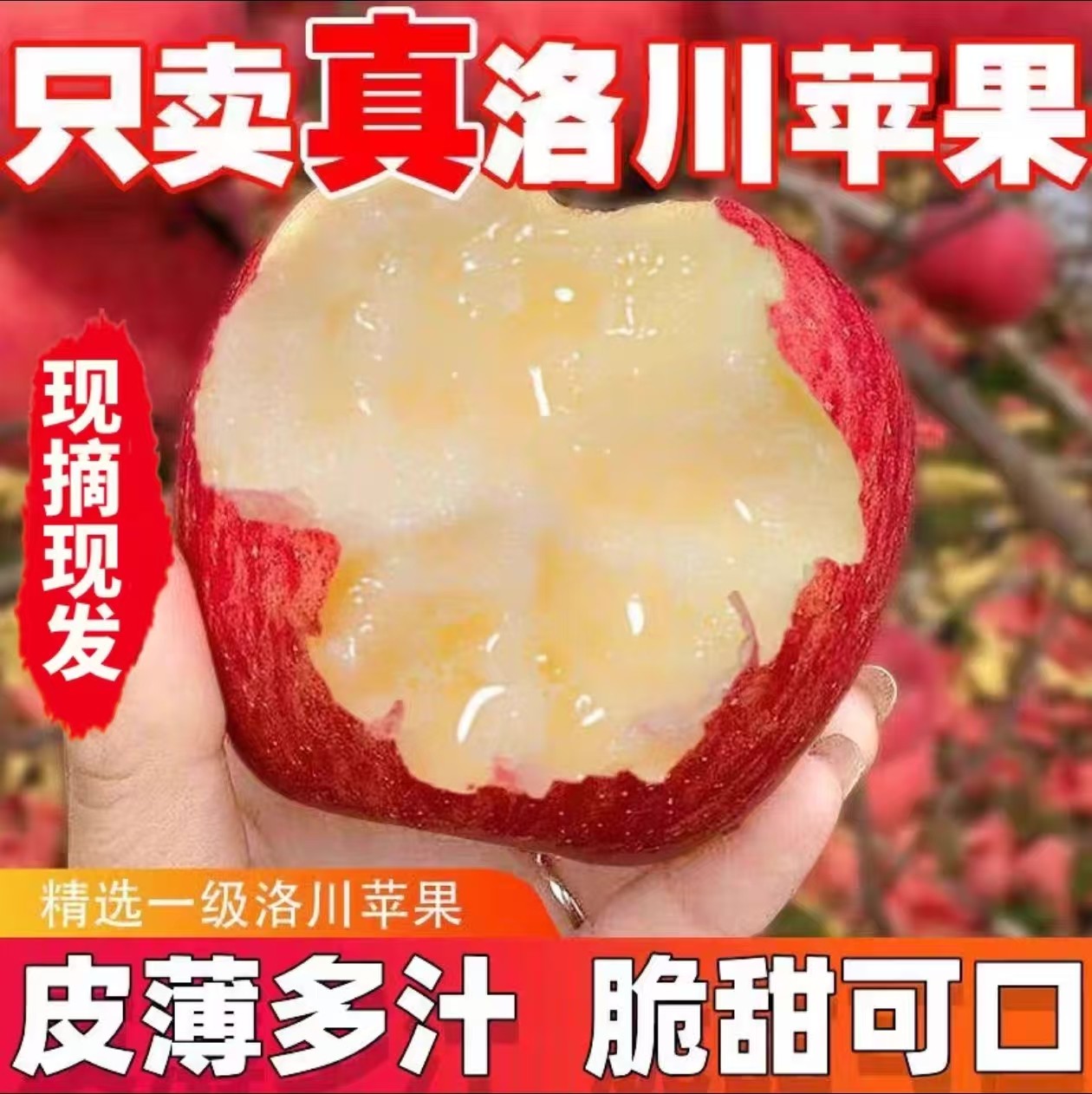 正宗陕西洛川红富士苹果脆甜多汁应季新鲜水果包邮冰糖心批发10斤,水产肉类/新鲜蔬果/熟食,苹果,淘宝优惠券,粉丝福利购,淘宝优惠卷