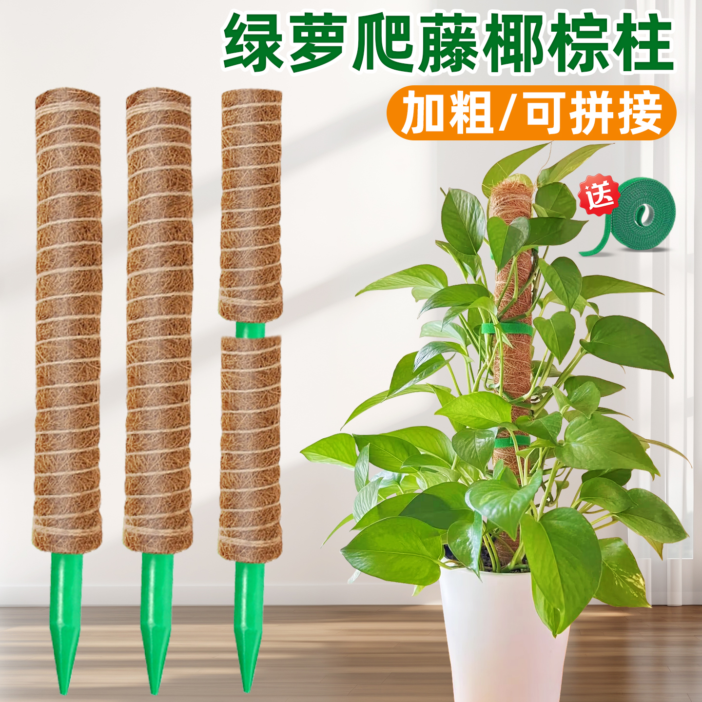 大叶绿萝攀爬棕榈柱植物爬藤固定支架杆椰棕棒龟背竹支撑杆水苔柱