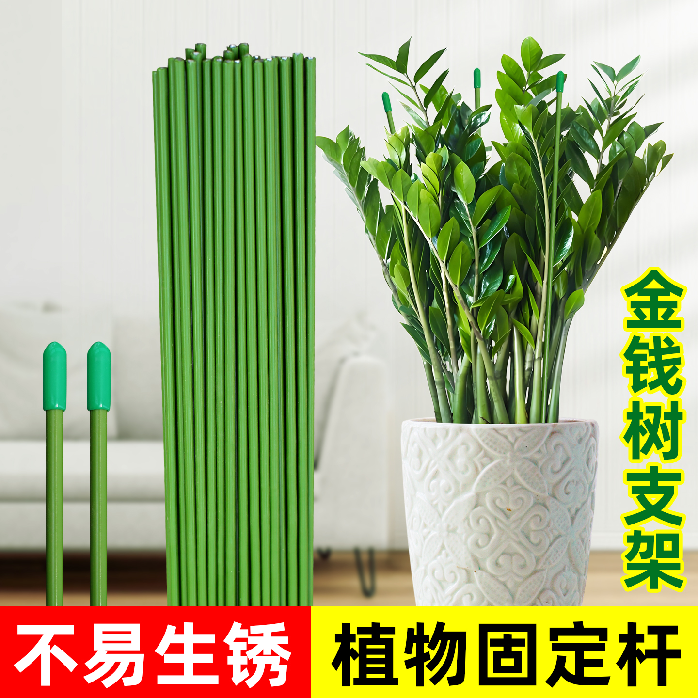 花卉植物爬藤固定捆绑杆金钱树